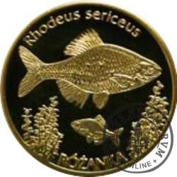 10 złotych rybek (mosiądz) - XXVII emisja / RÓŻANKA