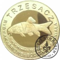 10 złotych rybek - Pomorze Zachodnie / Trzęsacz ~ Bocjana wspaniała (VIII emisja - mosiądz)